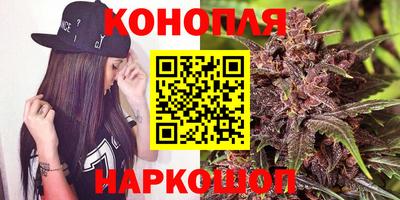 Альфа ПВП Лесосибирск