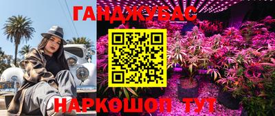 Альфа ПВП Лесосибирск