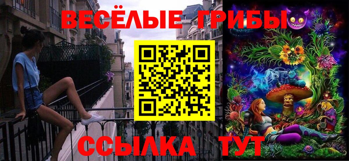 Псилоцибиновые грибы прущие грибы  Галлюциногенные грибы GOLDEN TEACHER  Вход с VPN  Губаха 